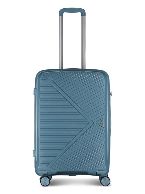 Diverse koffers en trolleys