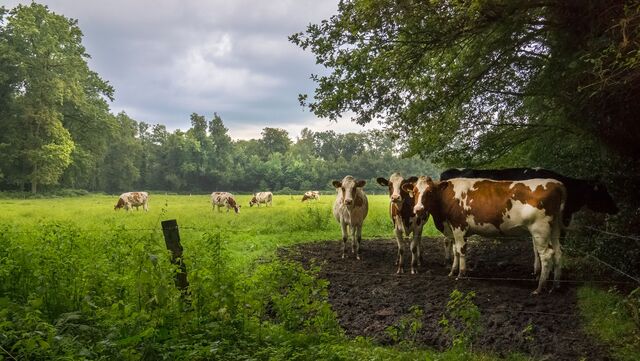 Wandelroutecontroleur: Vijf bergen met een roerig verleden