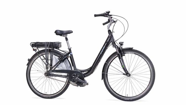 Microbe Bont Verzakking Prophete E-bike 28" Premium | E-biketest 2023 | ANWB