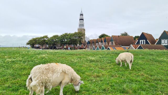 Wandelroutecontroleur: Stadswandeling Hindeloopen