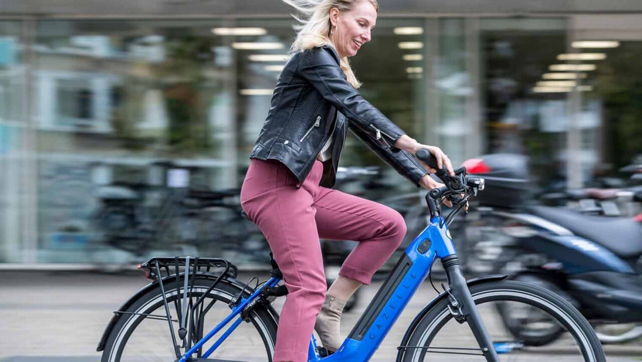 Serie van vrouw Ontleden Welke soorten elektrische fietsen bestaan er? | ANWB
