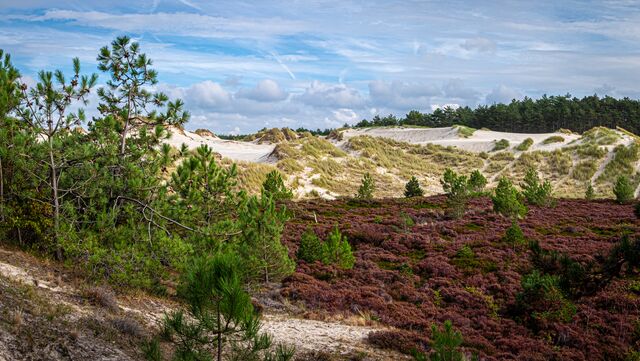 Dagje weg in Noord-Holland | Bekijk uitjes-tips | ANWB