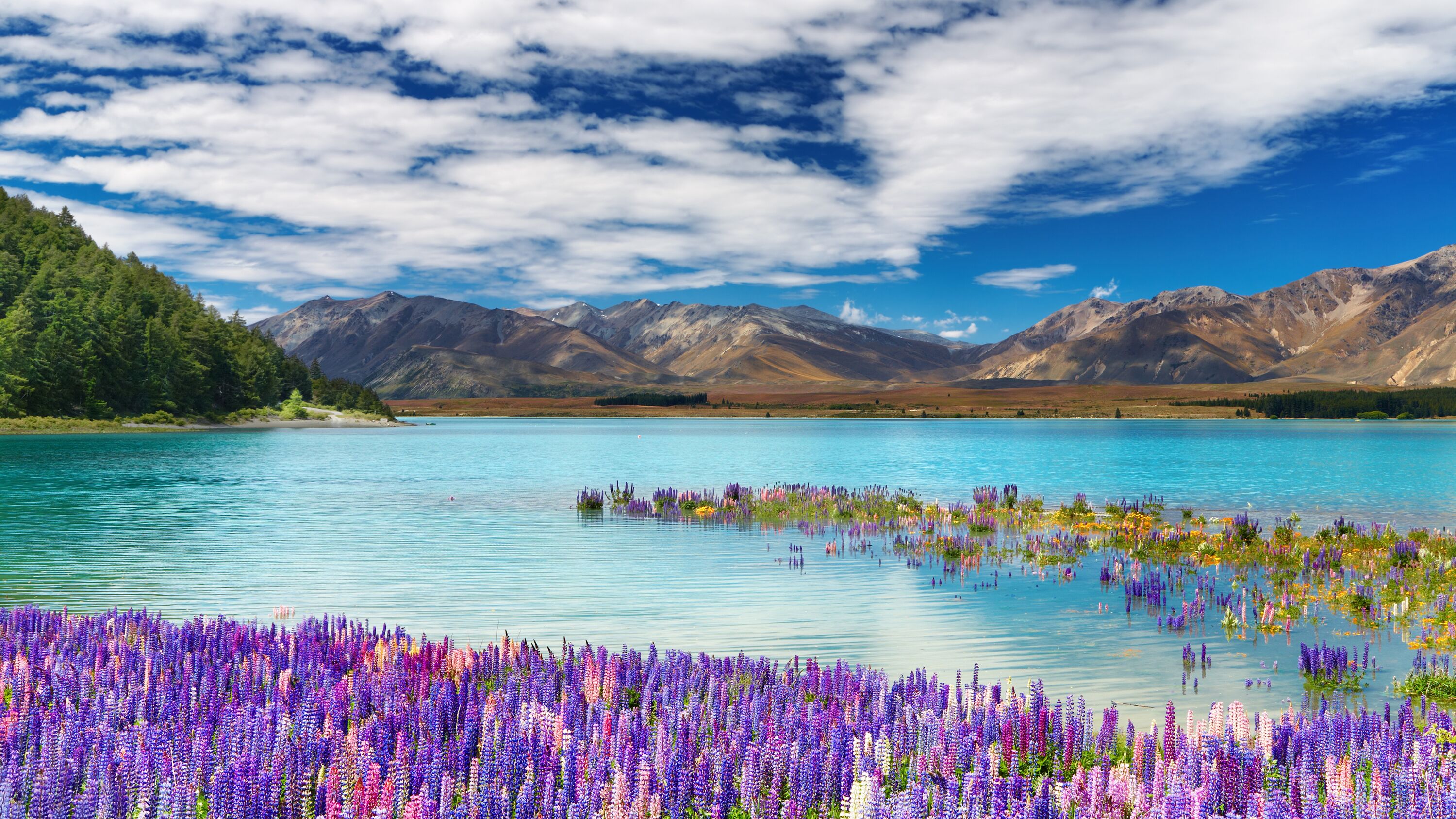 ambitie stil Giftig Vakantie Nieuw-Zeeland? De mooiste Nieuw-Zeeland reizen! » ANWB