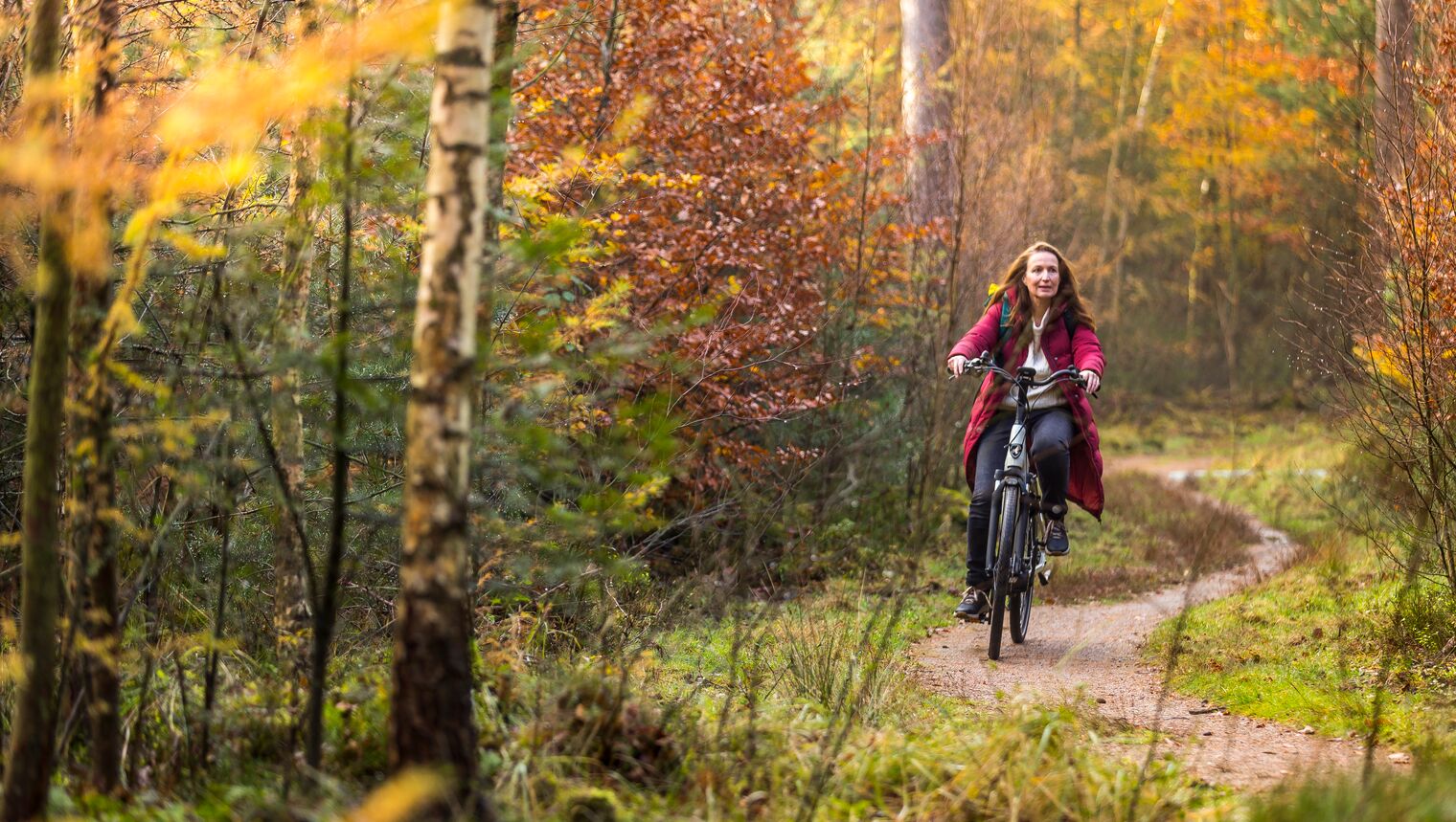 Fietsroutes In Nederland | ANWB