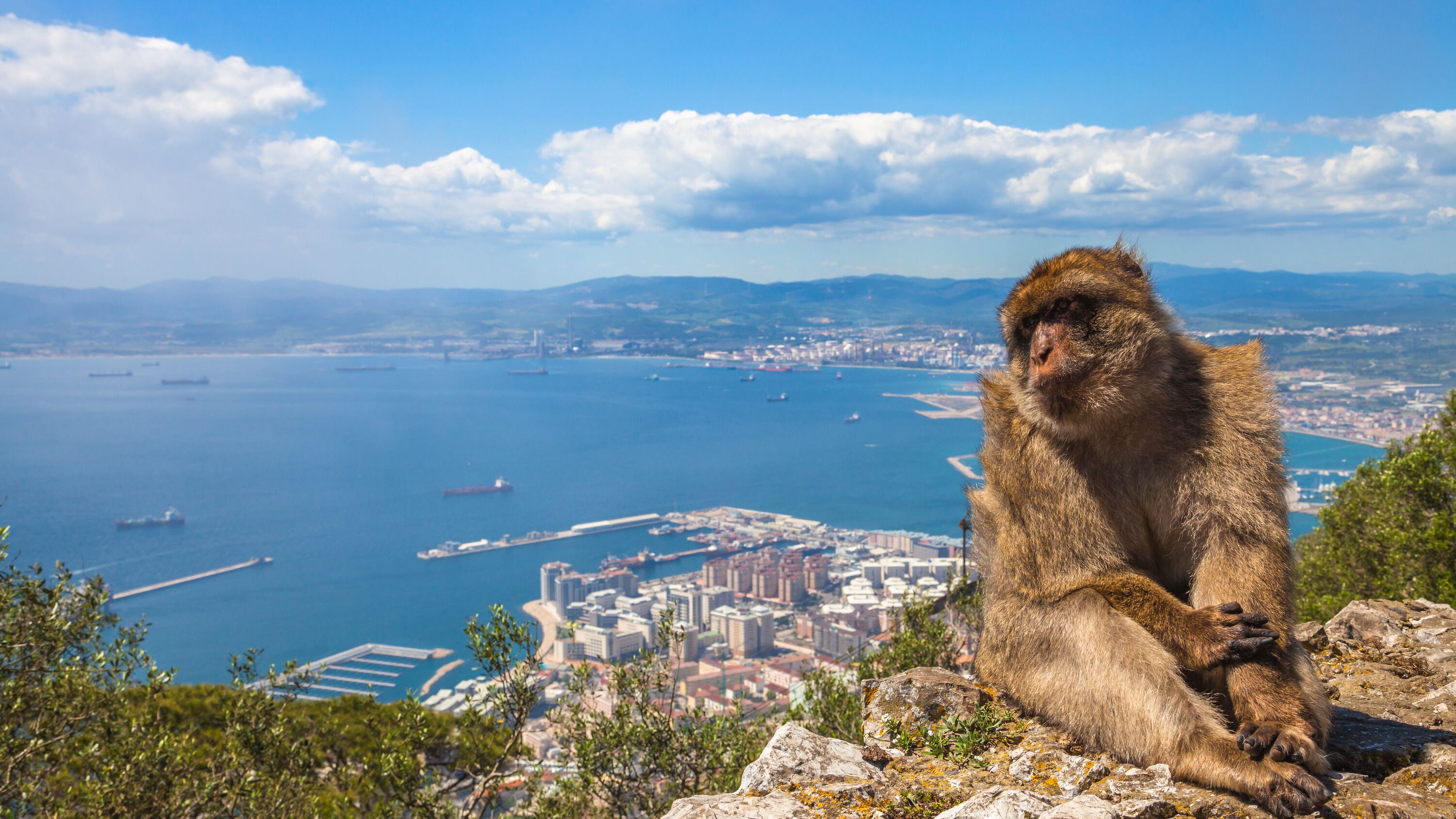Vakantie Gibraltar? De mooiste Gibraltar reizen! » ANWB