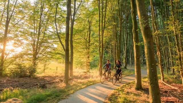 Fietsroutecontroleur: Het geheim van de vrije Friezen