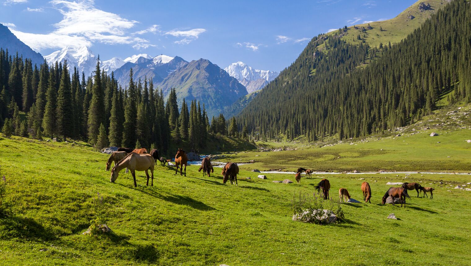 Content_Afb_1520-kirgizie_tiensjan_bergketen_paarden_grazen_landschap_shutterstock.jpg