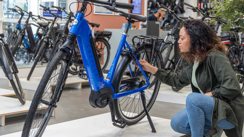 Productiecentrum pepermunt hardware E-bike kopen: elektrische fiets onderdelen uitgelicht | ANWB