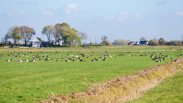 Fietsroutecontroleur: Gooi en Eem-route