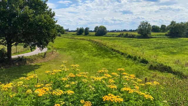 Fietsroutecontroleur: Brabants welvaren