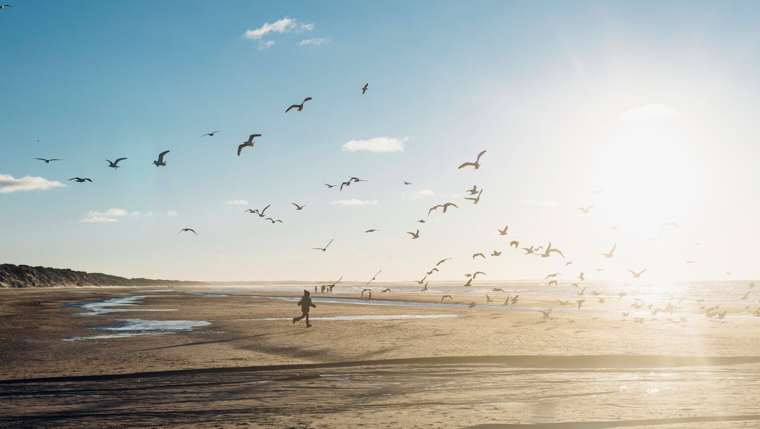 Voorjaarsvakantie 2024: data, tips en inspiratie | ANWB