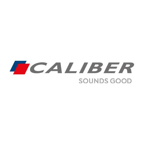 Caliber Europe B.V.