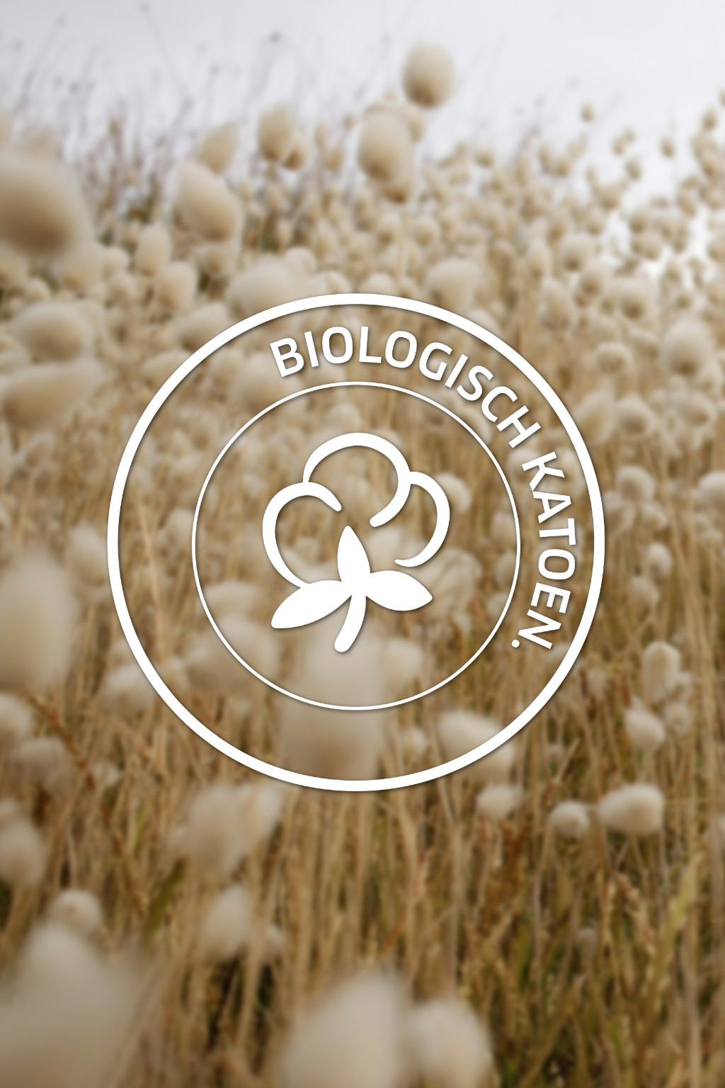 Biologisch katoen