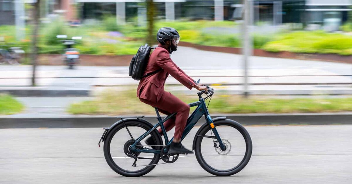 Niet verwacht leven Stad bloem E-bike of speedpedelec: de verschillen | ANWB