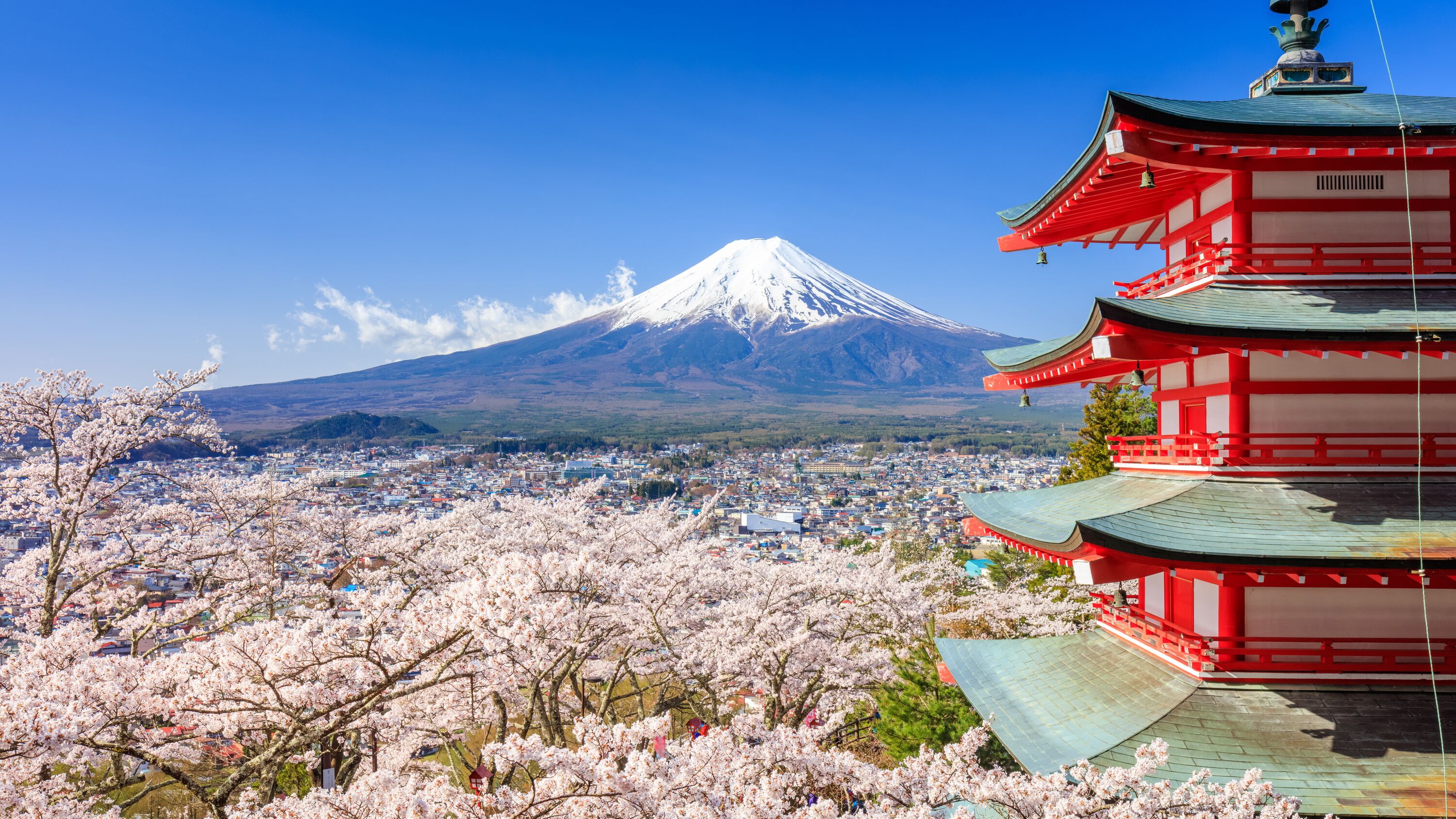 Plunderen Fictief Kader Vakantie Japan? De mooiste Japan reizen! » ANWB