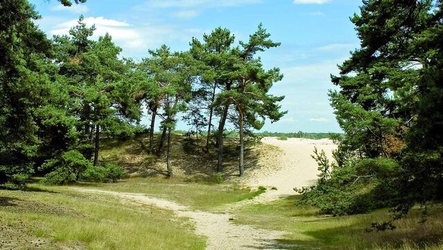 Wandelroutecontroleur: Over boeren, bos en bergen