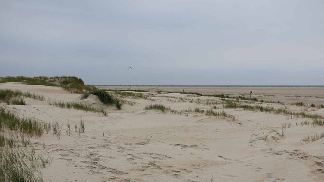 Wandelroutecontroleur: Struinen en jutten