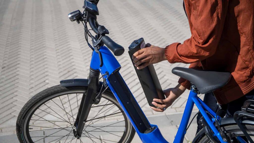 Botanist tetraëder Opnemen E-bike accu's, waarom zijn er zoveel? | ANWB