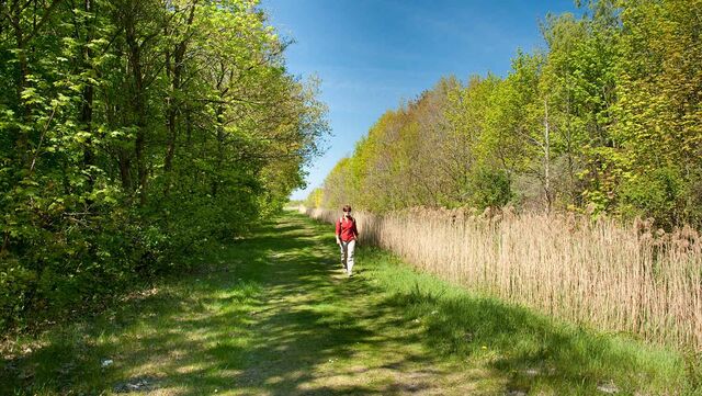 Wandelroutecontroleur: Wielewalen bij Lauwersoog