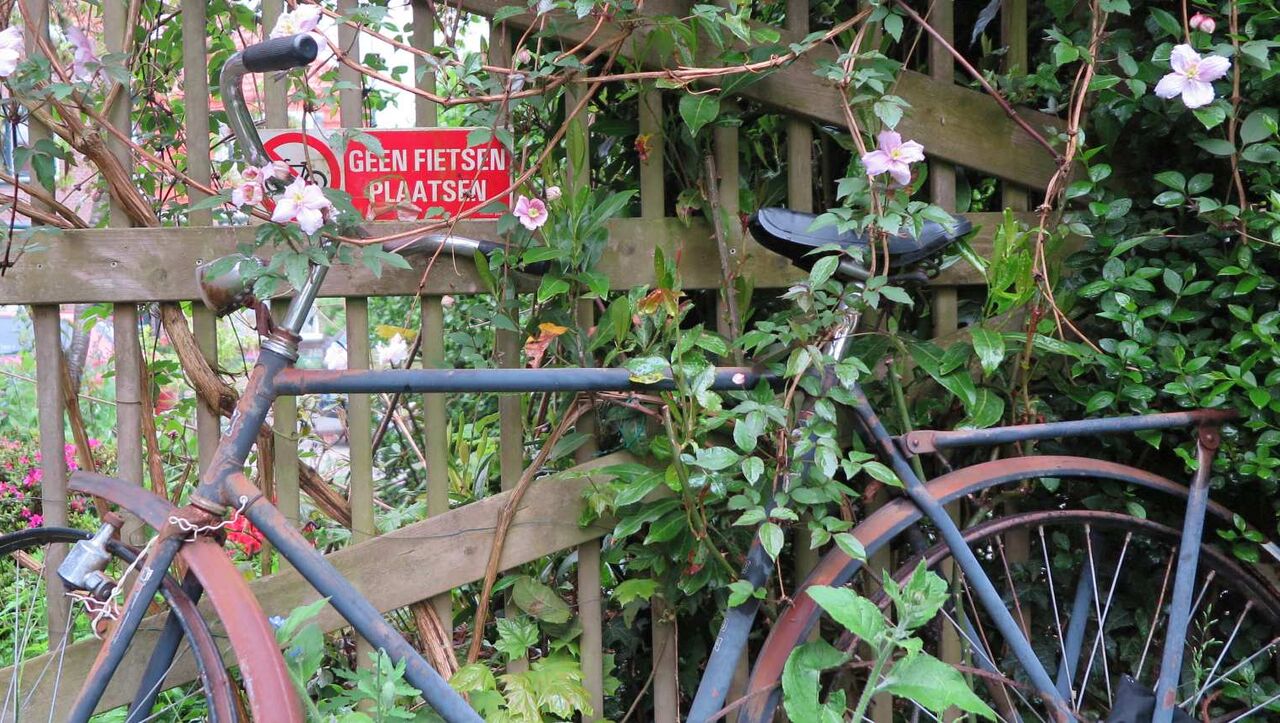 Wat doe je met je oude fiets: inruilen of verkopen | ANWB