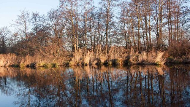 Wandelroutecontroleur: Loetbosroute