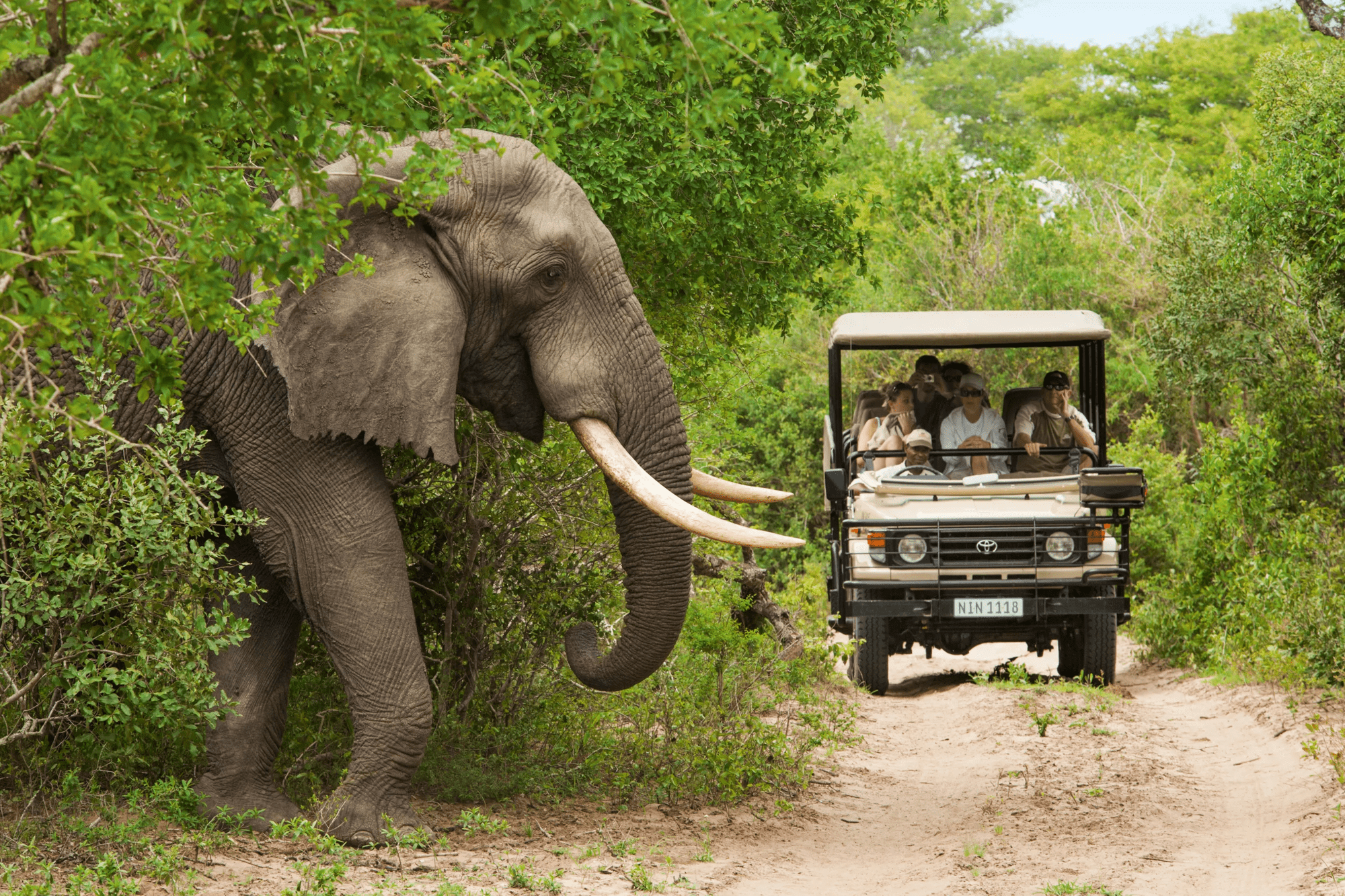 15-daagse groepsrondreis Wild Zuid-Afrika