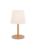 Elin lamp
