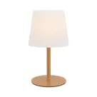 Elin lamp
