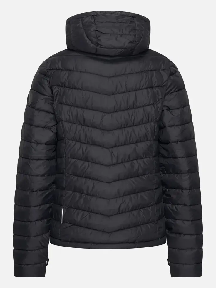 Dolce - Jas dames - Human Nature