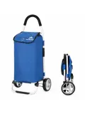 Boodschappenwagen Opvouwbaar