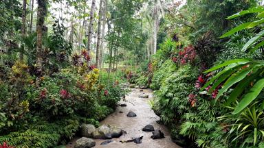 indonesie_java_kalibaru_harnik_plantagetour_omgeving_1_f.jpg