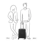 Delsey Belmont Plus koffer / 33 L