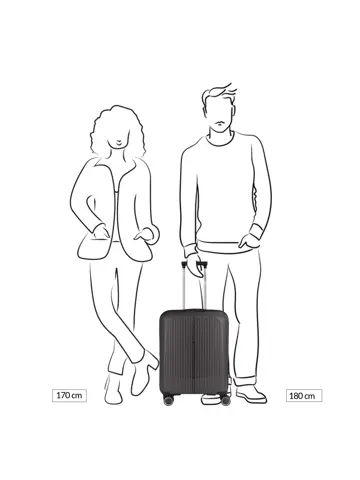 Brooklyn Cabin Trolley Expandable  | 41 L