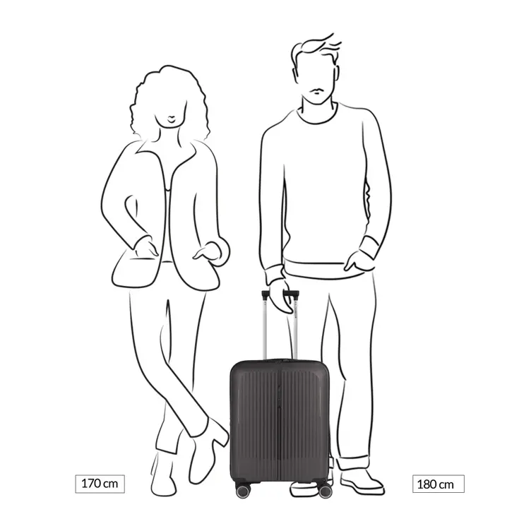 Brooklyn Cabin Trolley Expandable  | 41 L