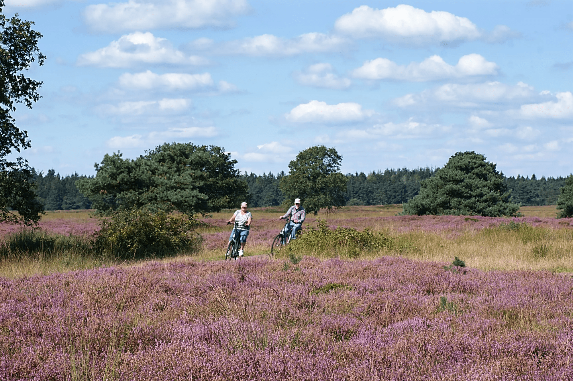 6-daagse fietsrondreis De Ronde van Drenthe afbeelding