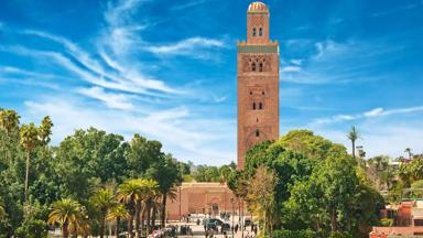 marokko_marrakech-safi_marrakesh_kotoubia-moskee_overzicht_mens_plein_palmbomen_b