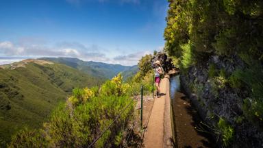 Beelden komen van Turismo do Portugal in Madeira.

Iedere foto heeft zijn eigen naam en copyright, die wij dienen te gebruiken.