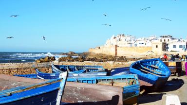marokko_essaouira_stadsmuur_stad_boten_haven_zee_vogels_mensen