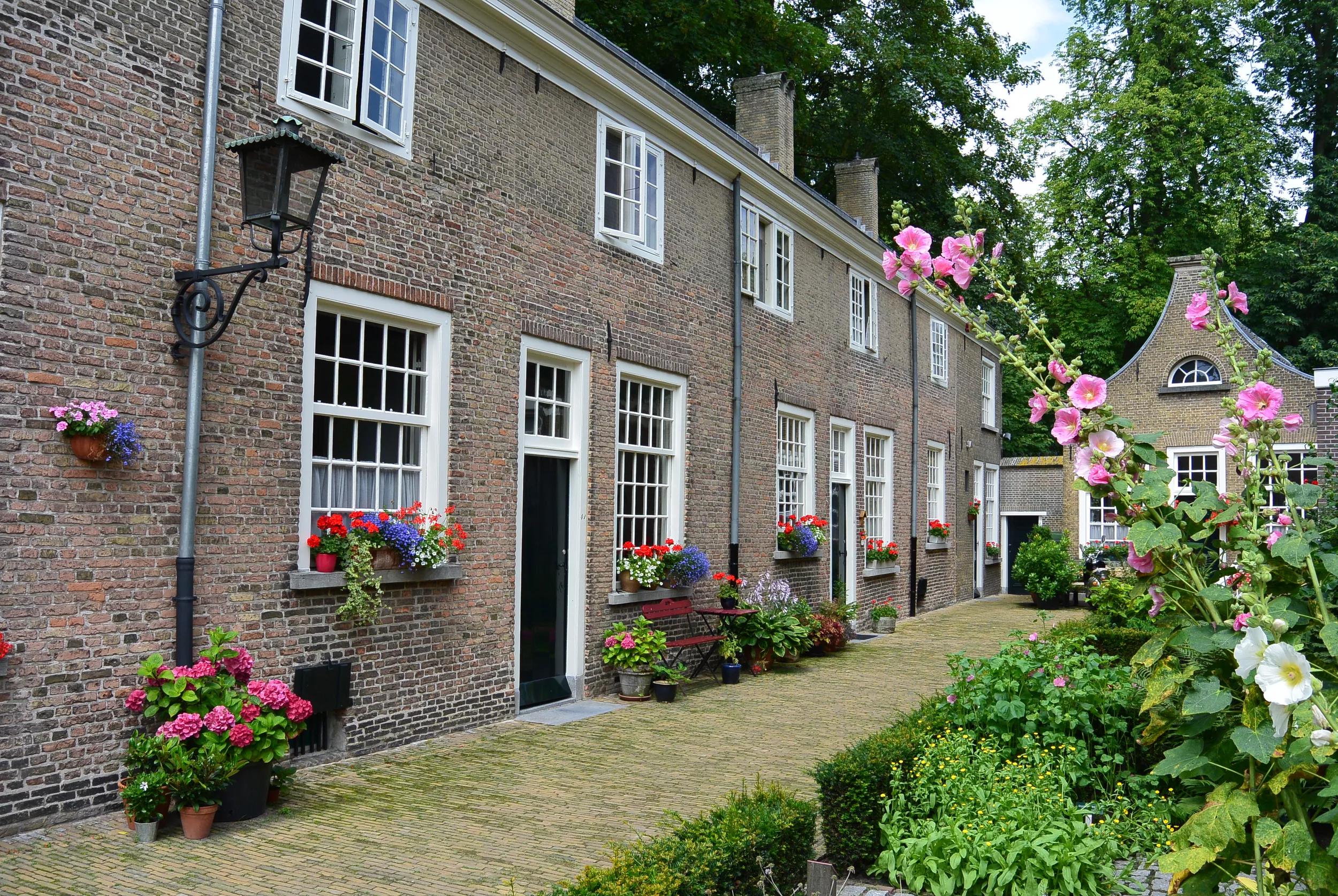 Alleen voor online gebruik