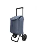 Shop&Go - Boodschappenkar - Opvouwbaar - 40L