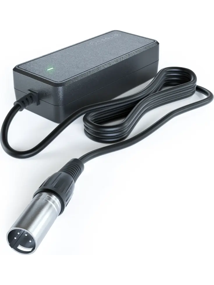 Lader geschikt voor E bike Giant Twist 26V2A