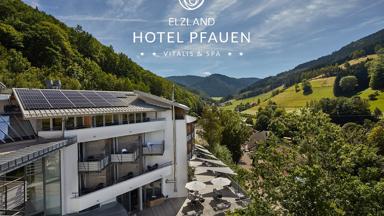 Elzland Hotel Pfauen 01