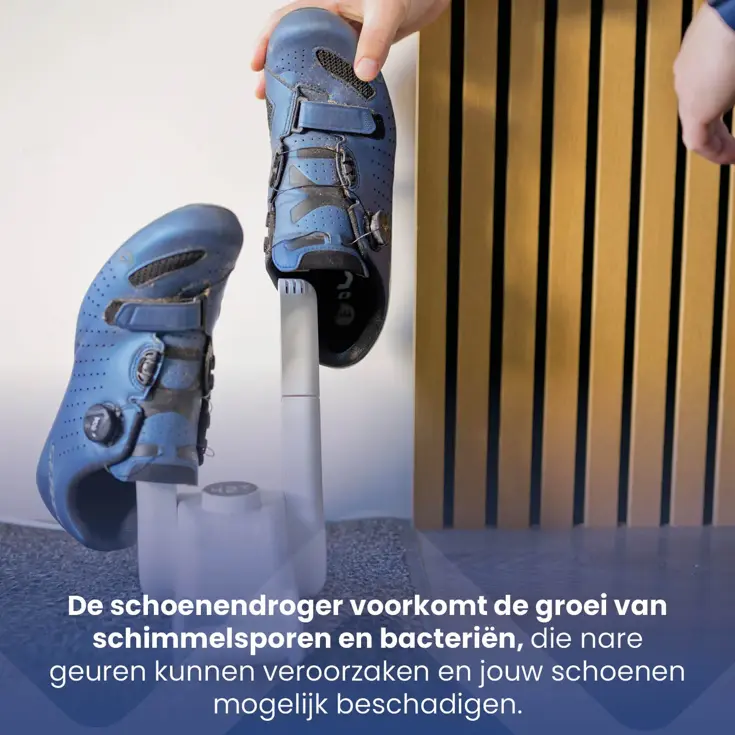 Compacte Elektrische Schoenendroger