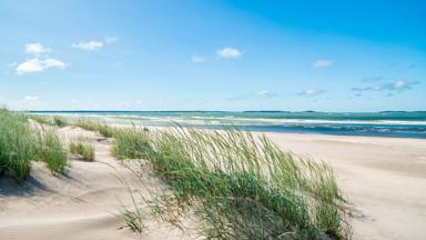 finland_pori_duinen_yyteri-strand_kustplaats_zee_strand_blauwe-lucht_shutterstock
