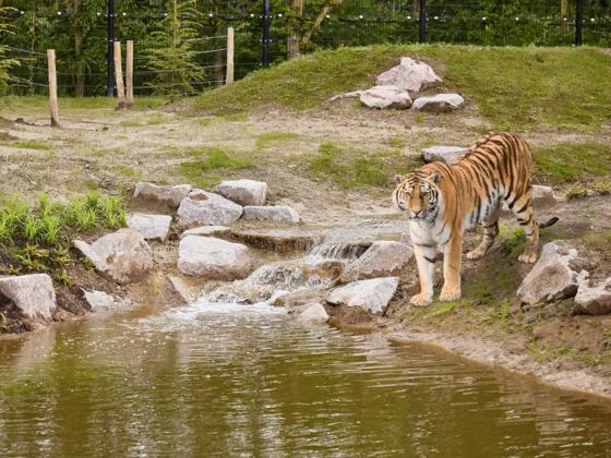 Impressie van Eindhoven Zoo