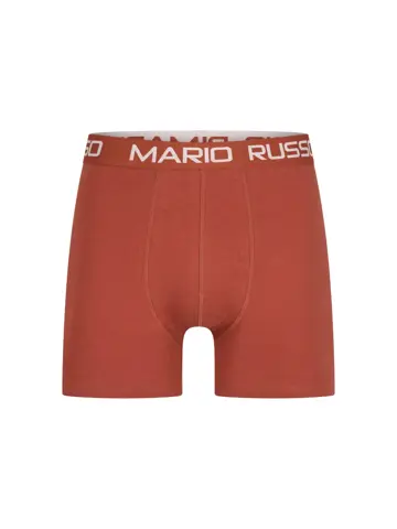 Heren 10-Pack Basic Boxers