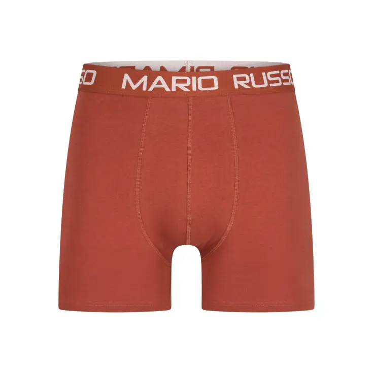 Heren 10-Pack Basic Boxers