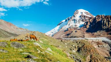 georgie_mtscheta-mtianeti_kazbegi_stepantsminda_paard_berg_shutterstock_538201402.jpg