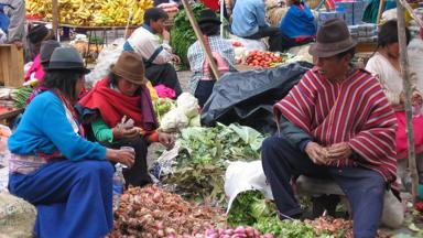 ecuador_andes_guamote_markt_vrouw_man_bevolking_d_jpg