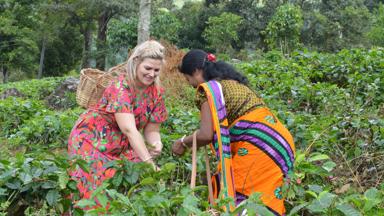 Fox_Sri-Lanka_Kandy_theeplantage_thee-plukken_d_Susanne 05